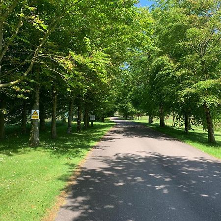 Fernhill Lodge Carrigaline Ngoại thất bức ảnh