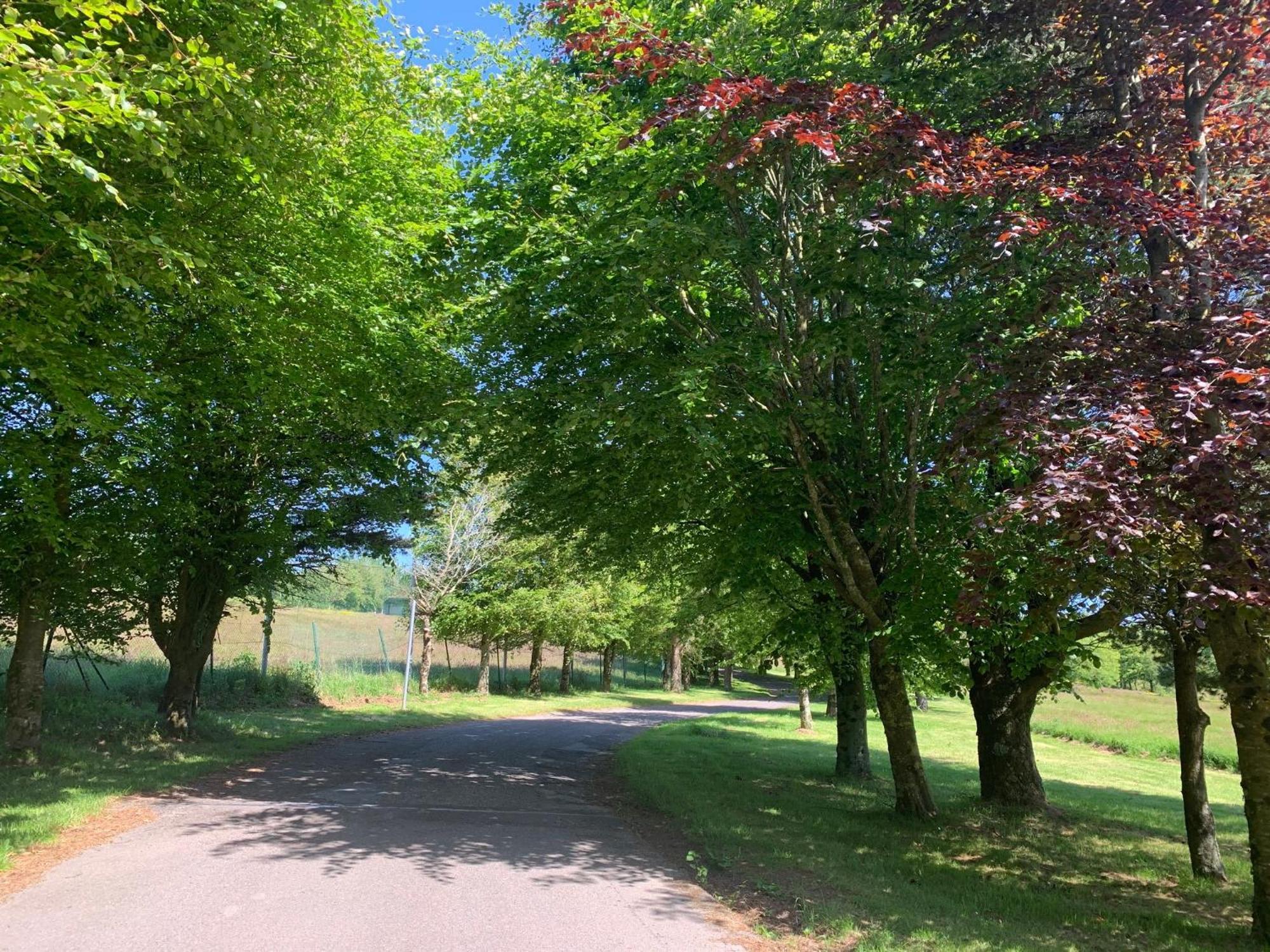 Fernhill Lodge Carrigaline Ngoại thất bức ảnh