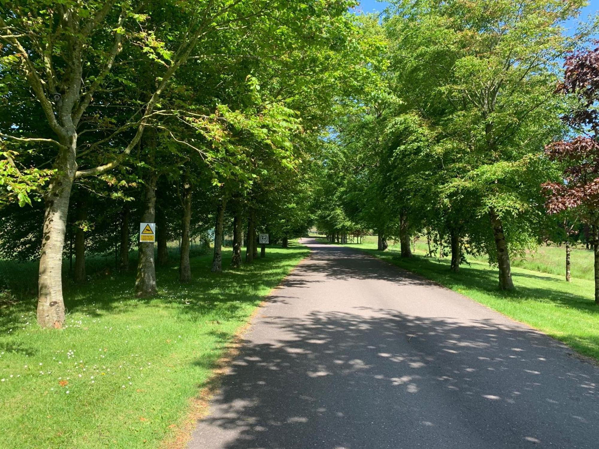 Fernhill Lodge Carrigaline Ngoại thất bức ảnh