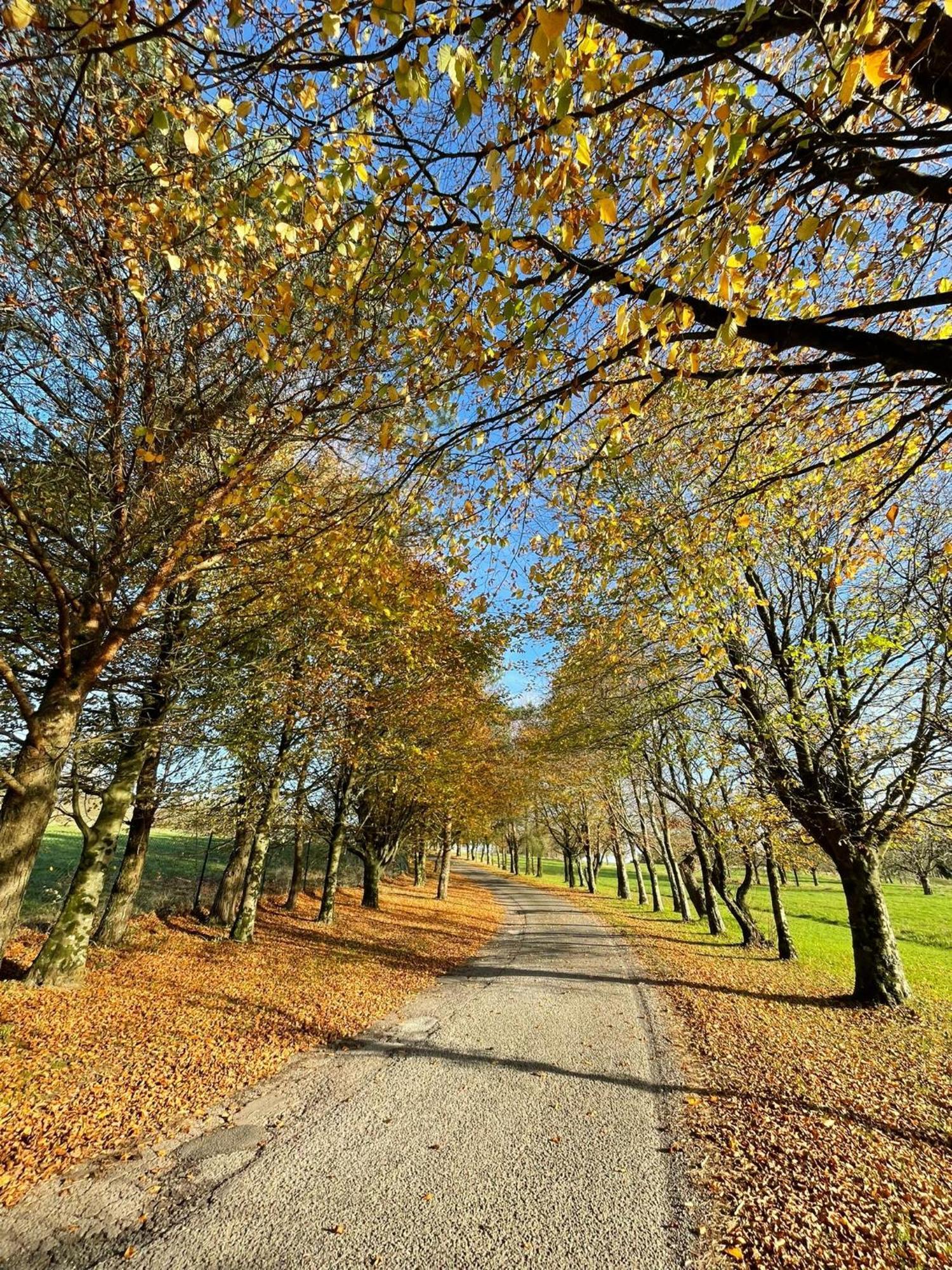 Fernhill Lodge Carrigaline Ngoại thất bức ảnh